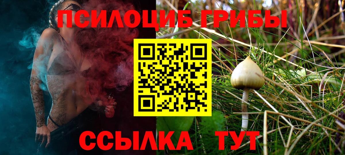 Галлюциногенные грибы мицелий  Вход с VPN  Ачинск  продажа наркотиков  Псилоцибиновые грибы Psilocybe 