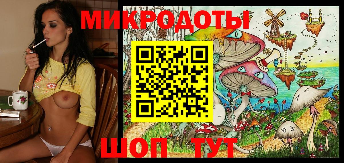 Галлюциногенные грибы Psilocybine cubensis Ачинск